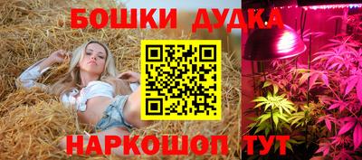 скорость Лесосибирск